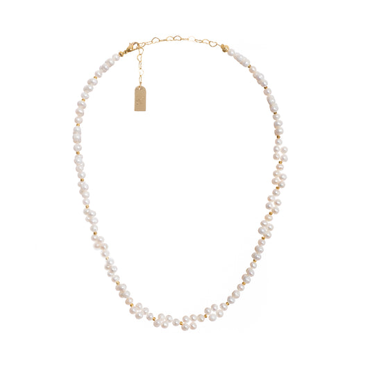 BLOMSTERÄNG HALSBAND